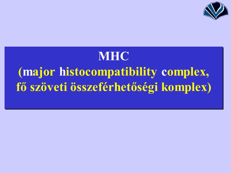 MHC (major histocompatibility complex, fő szöveti összeférhetőségi komplex)