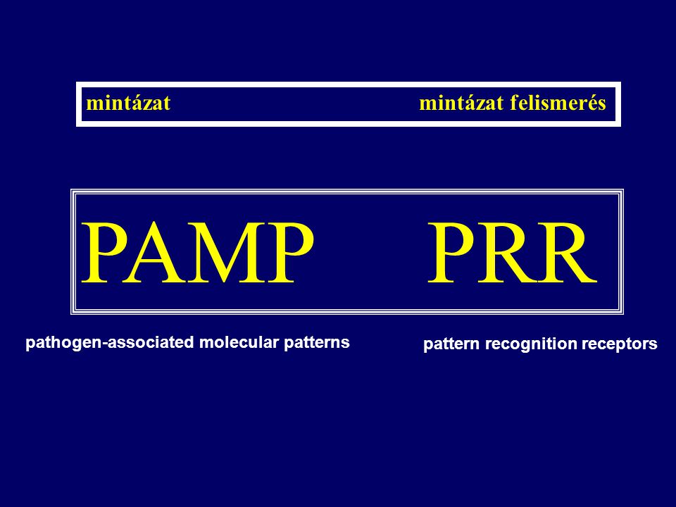 PAMP PRR mintázat mintázat felismerés