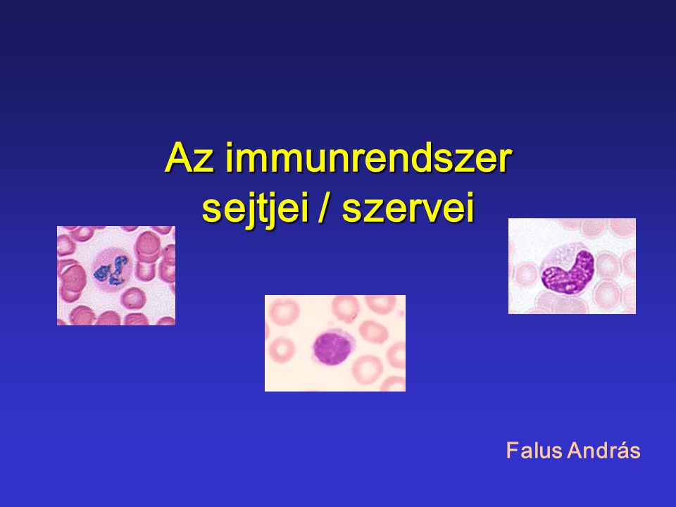Az immunrendszer sejtjei / szervei