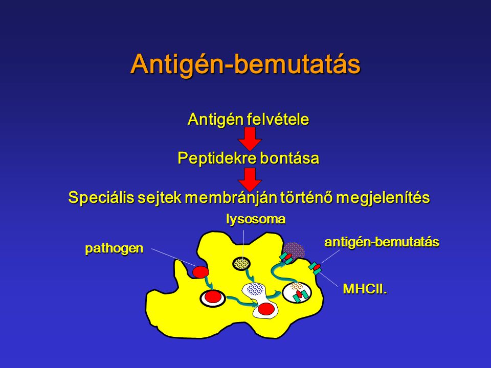 Speciális sejtek membránján történő megjelenítés