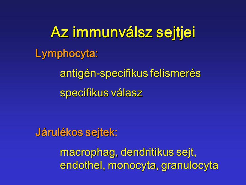 Az immunválsz sejtjei Lymphocyta: antigén-specifikus felismerés