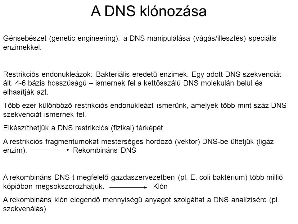 A DNS klónozása Génsebészet (genetic engineering): a DNS manipulálása (vágás/illesztés) speciális enzimekkel.