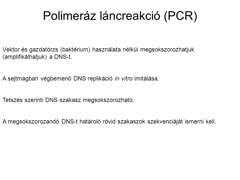 Polimeráz láncreakció (PCR)