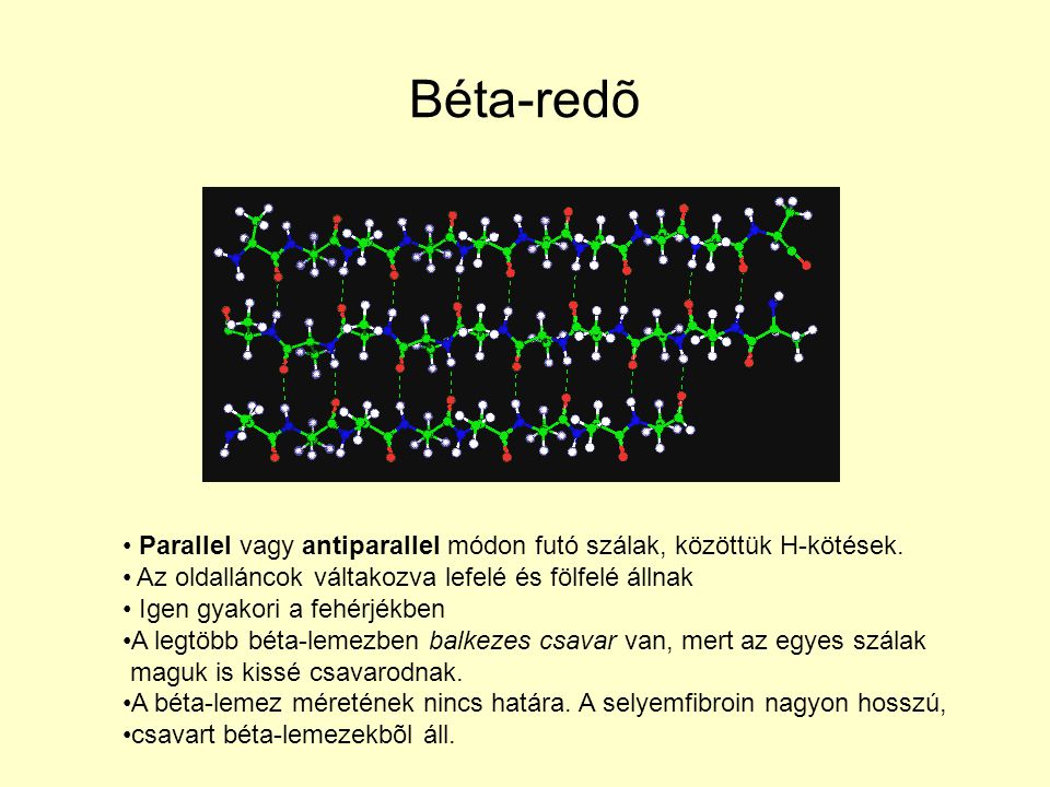 Béta-redõ Parallel vagy antiparallel módon futó szálak, közöttük H-kötések. Az oldalláncok váltakozva lefelé és fölfelé állnak.