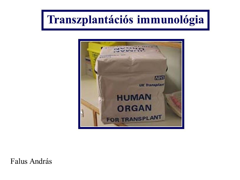 Transzplantációs immunológia