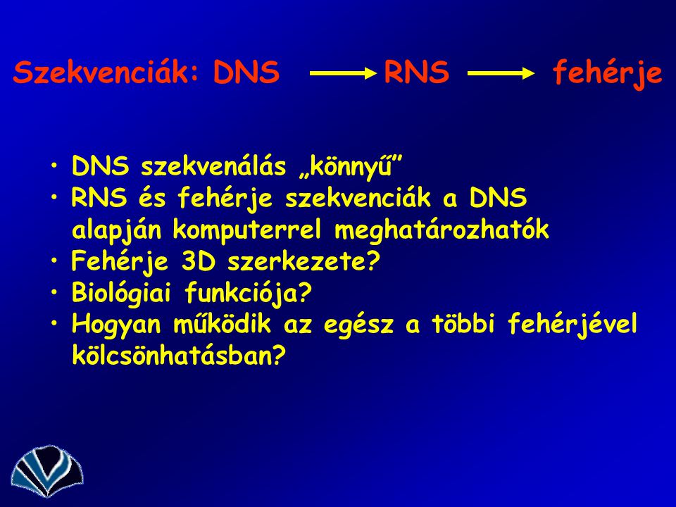 Szekvenciák: DNS RNS fehérje