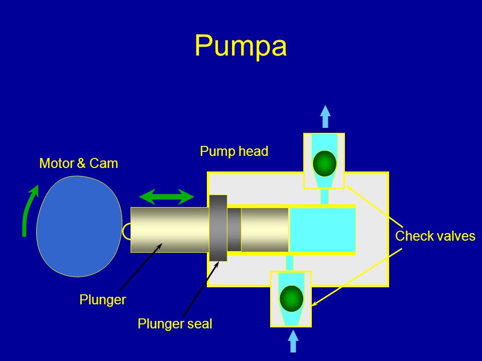 Pumpa Pump head Motor & Cam Check valves Plunger Plunger seal