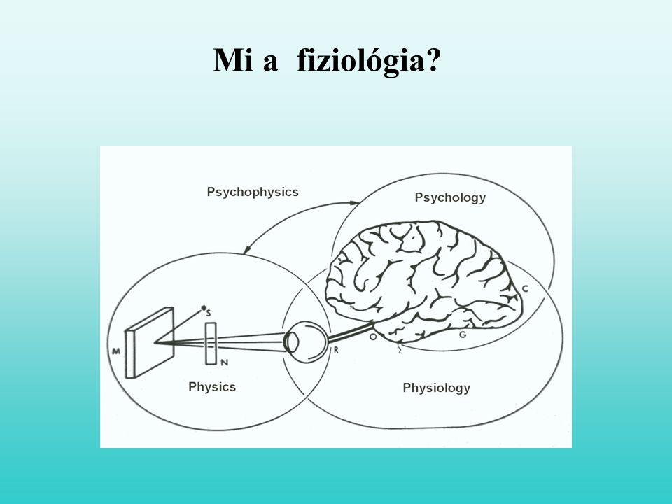 Mi a fiziológia