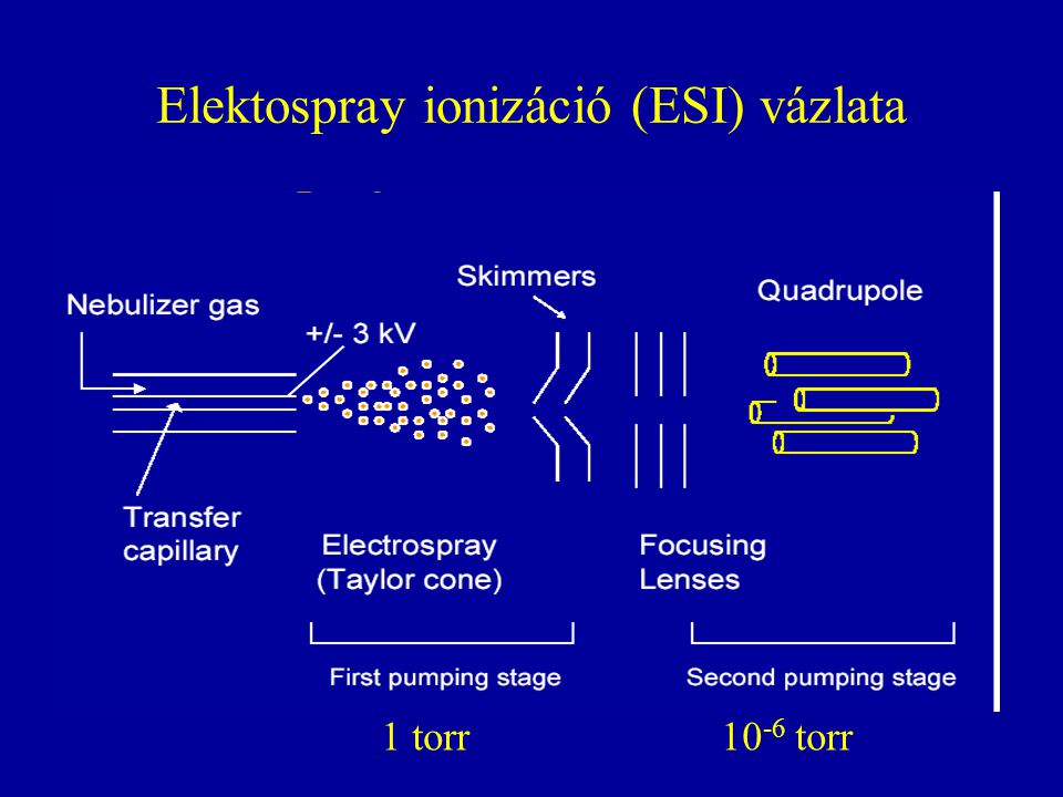 Elektospray ionizáció (ESI) vázlata