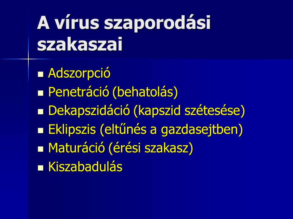A vírus szaporodási szakaszai