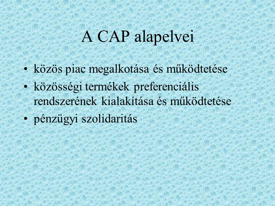 A CAP alapelvei közös piac megalkotása és működtetése