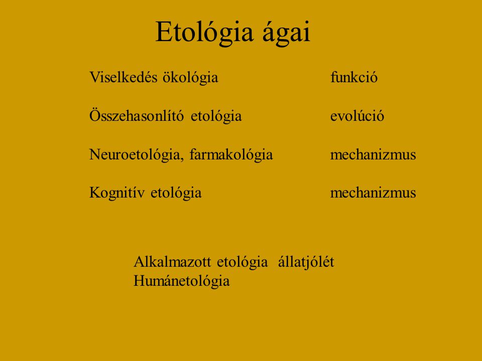 Etológia ágai Viselkedés ökológia funkció
