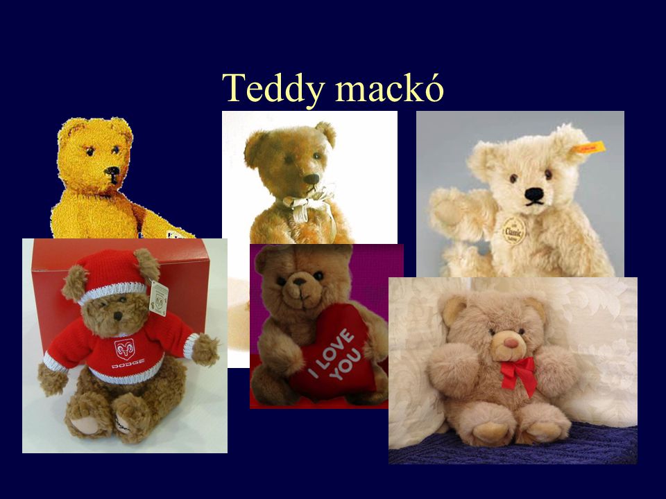 Teddy mackó