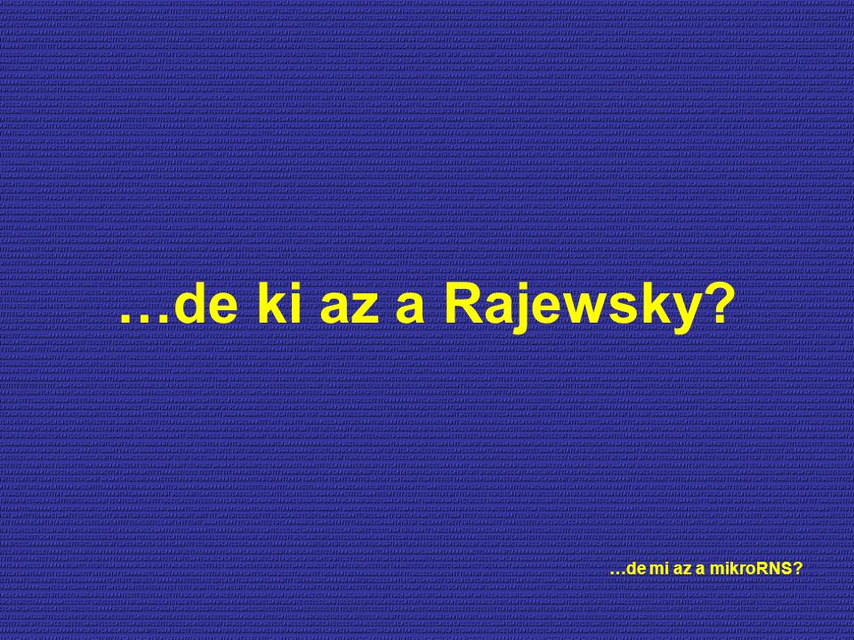 …de ki az a Rajewsky …de mi az a mikroRNS