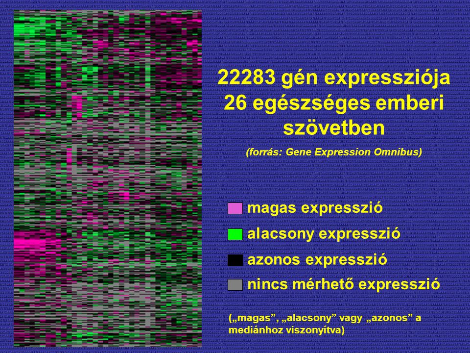 22283 gén expressziója 26 egészséges emberi szövetben