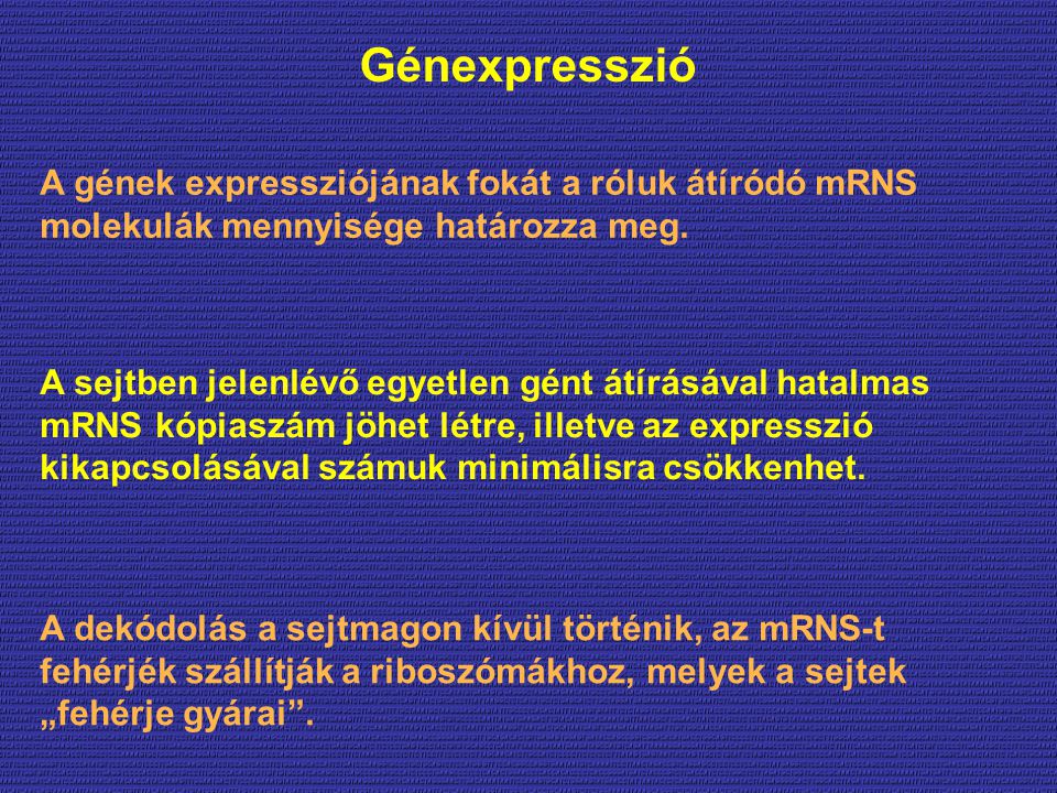 Génexpresszió A gének expressziójának fokát a róluk átíródó mRNS molekulák mennyisége határozza meg.
