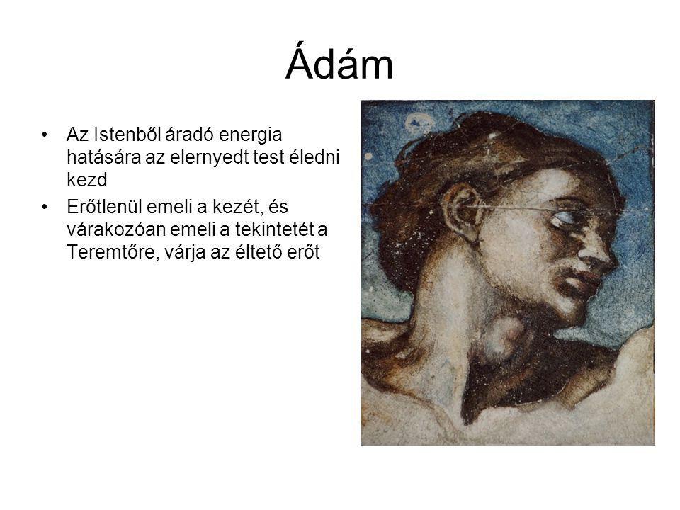 Ádám Az Istenből áradó energia hatására az elernyedt test éledni kezd