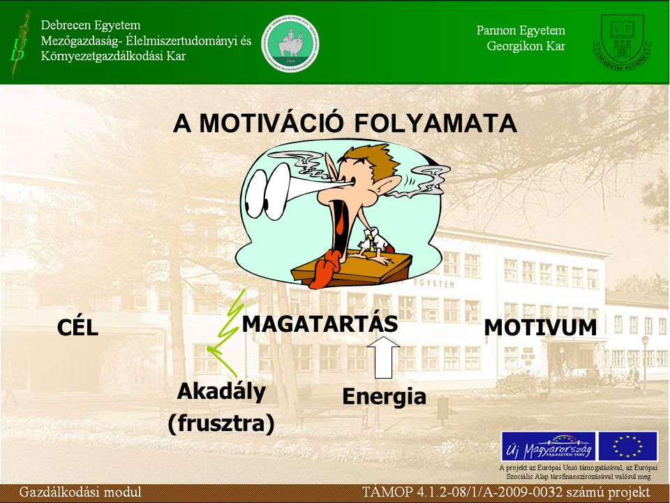 A MOTIVÁCIÓ FOLYAMATA MAGATARTÁS CÉL MOTIVUM Energia Akadály