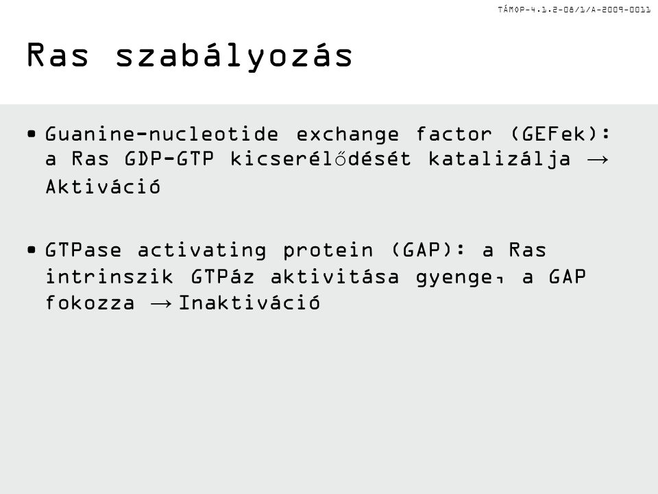 Ras szabályozás Guanine-nucleotide exchange factor (GEFek): a Ras GDP-GTP kicserélődését katalizálja → Aktiváció.
