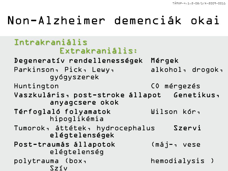 Non-Alzheimer demenciák okai