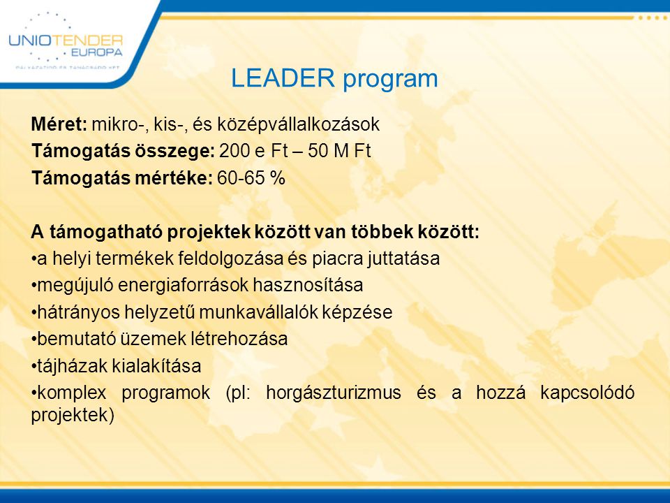 LEADER program Méret: mikro-, kis-, és középvállalkozások