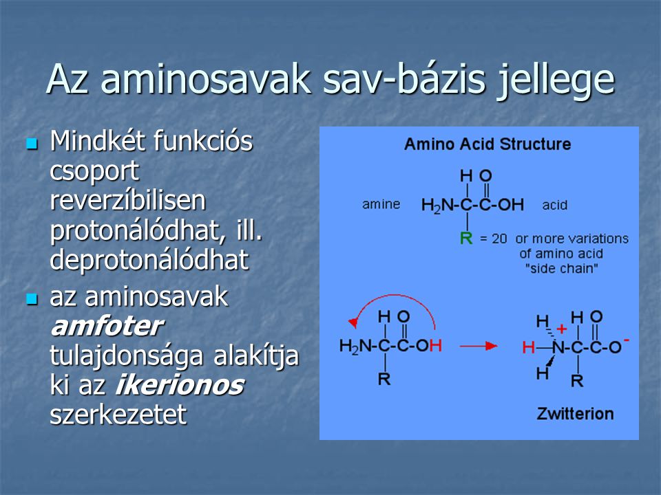 Az aminosavak sav-bázis jellege