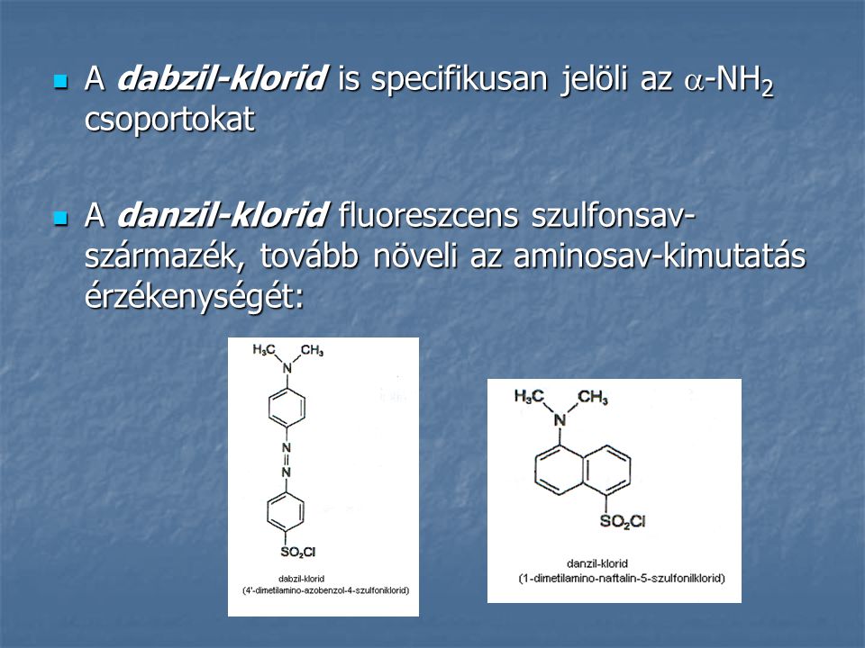 A dabzil-klorid is specifikusan jelöli az -NH2 csoportokat