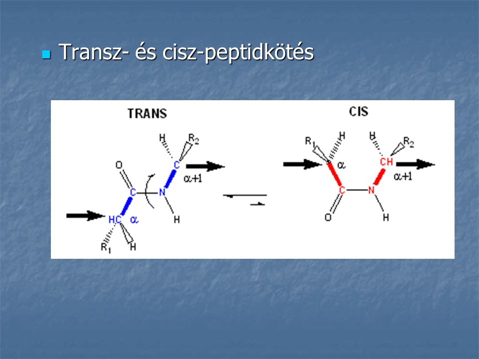 Transz- és cisz-peptidkötés