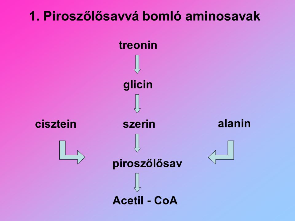 1. Piroszőlősavvá bomló aminosavak