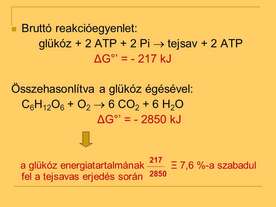 Bruttó reakcióegyenlet: glükóz + 2 ATP + 2 Pi  tejsav + 2 ATP