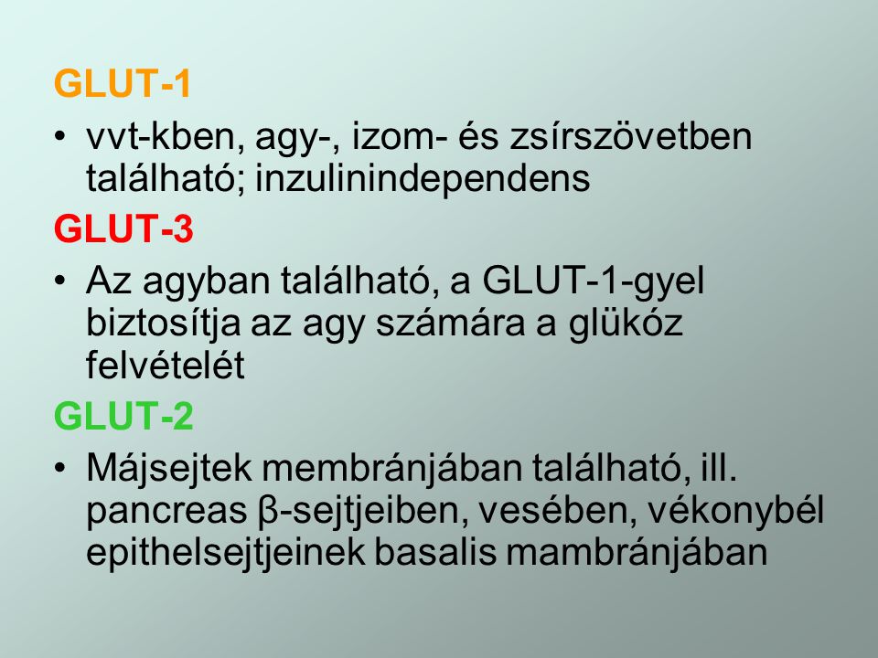 GLUT-1 vvt-kben, agy-, izom- és zsírszövetben található; inzulinindependens. GLUT-3.