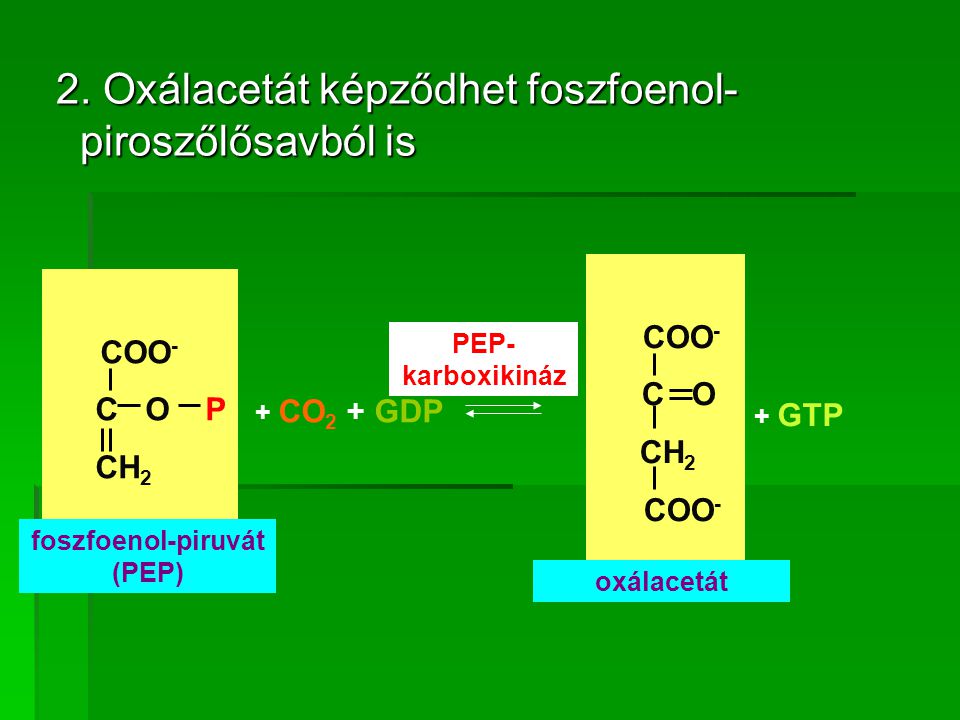foszfoenol-piruvát (PEP)