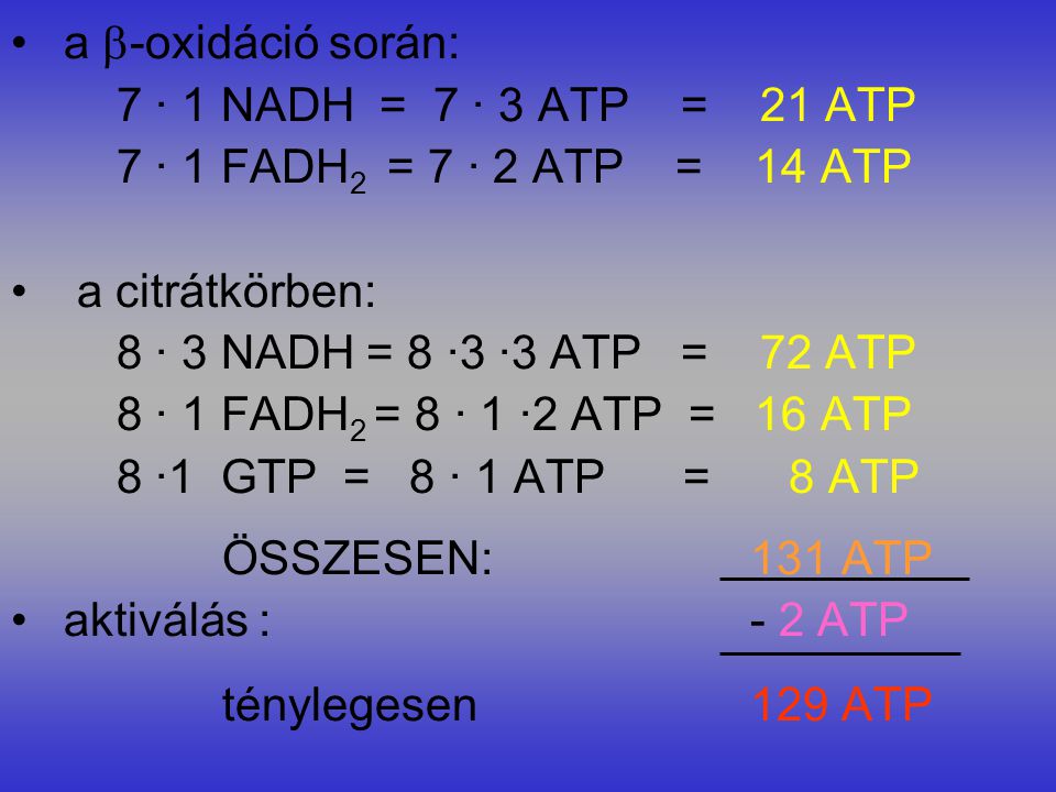 a -oxidáció során: 7 · 1 NADH = 7 · 3 ATP = 21 ATP. 7 · 1 FADH2 = 7 · 2 ATP = 14 ATP.
