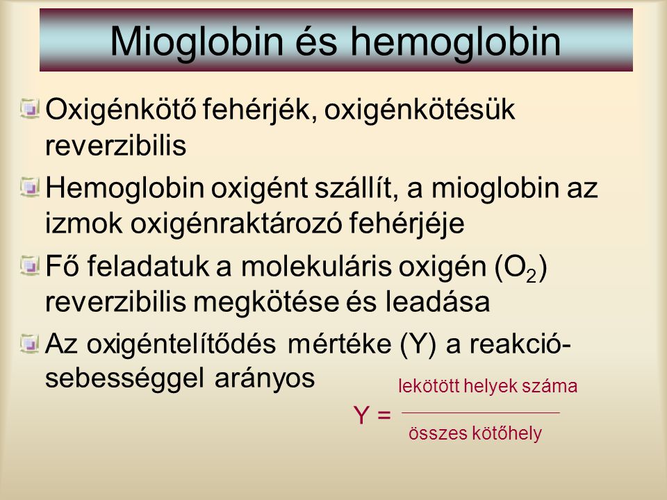 Mioglobin és hemoglobin