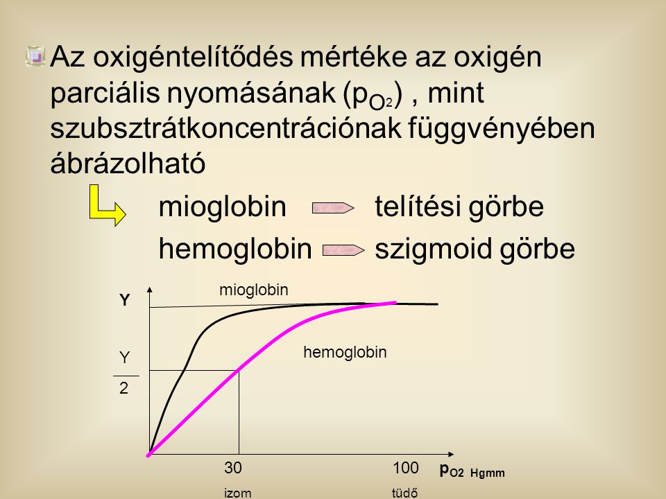 mioglobin telítési görbe hemoglobin szigmoid görbe