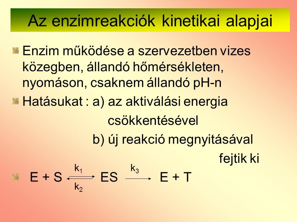 Az enzimreakciók kinetikai alapjai