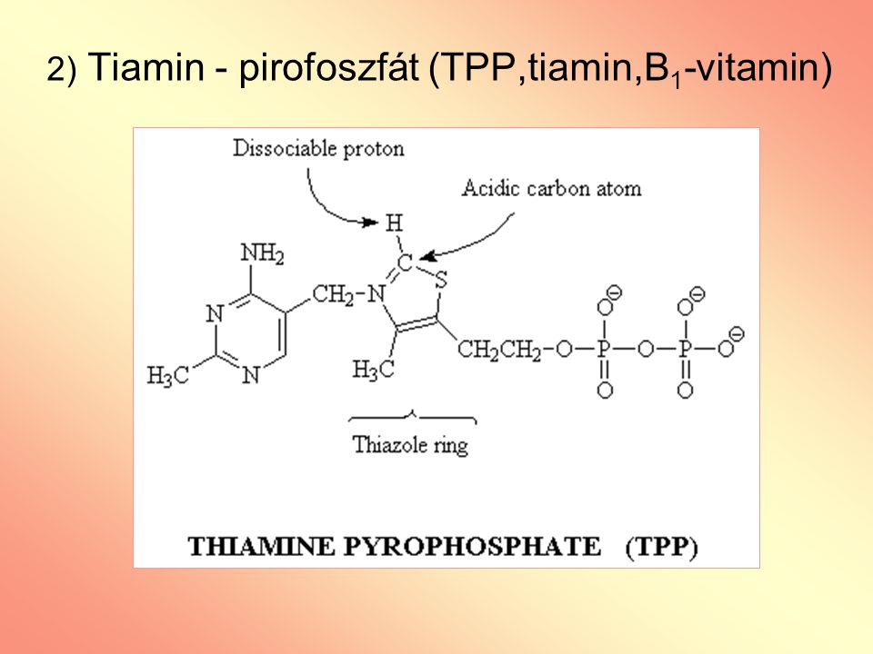 2) Tiamin - pirofoszfát (TPP,tiamin,B1-vitamin)