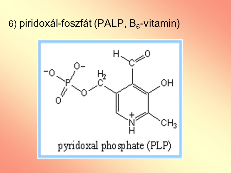 6) piridoxál-foszfát (PALP, B6-vitamin)
