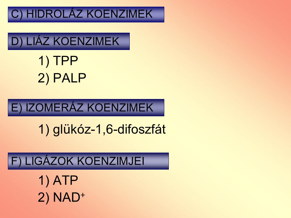 1) TPP 2) PALP 1) glükóz-1,6-difoszfát 1) ATP 2) NAD+