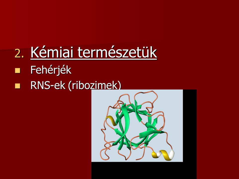 Kémiai természetük Fehérjék RNS-ek (ribozimek)