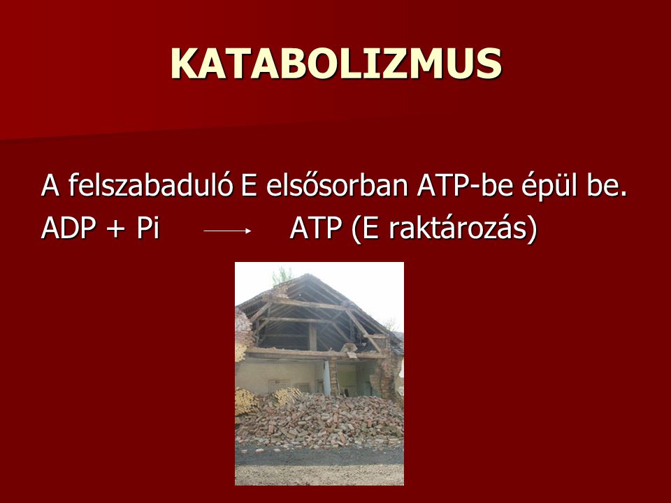 KATABOLIZMUS A felszabaduló E elsősorban ATP-be épül be.