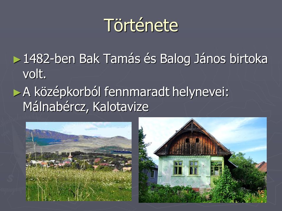 Története 1482-ben Bak Tamás és Balog János birtoka volt.