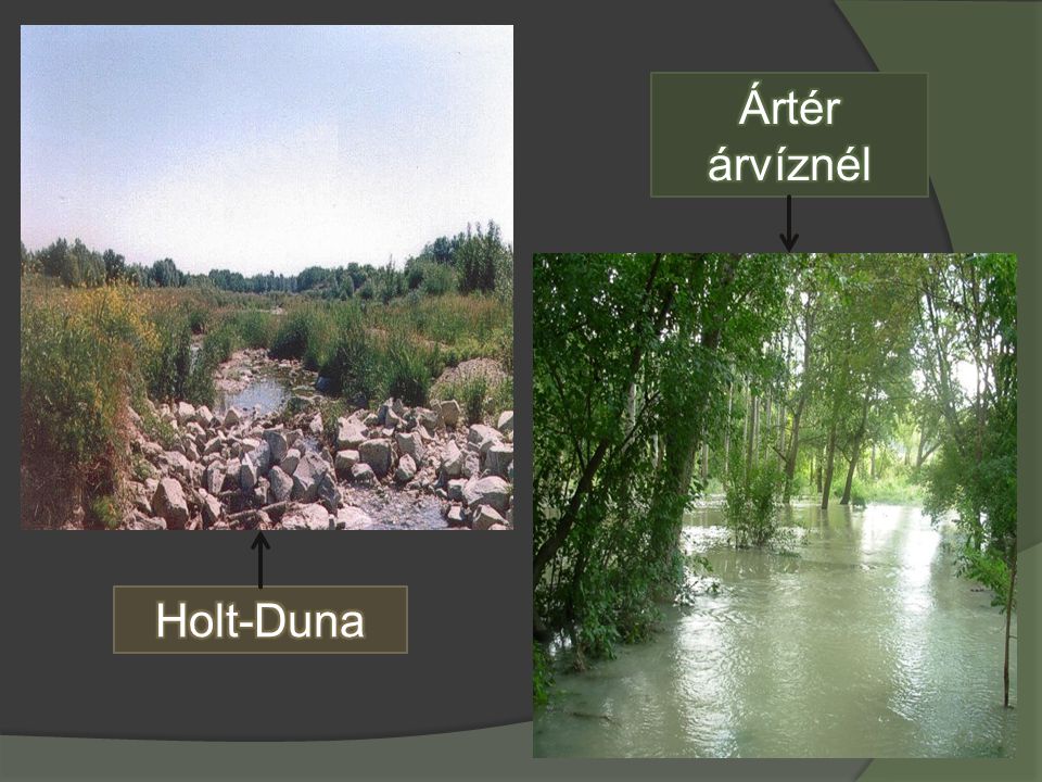 Ártér árvíznél Holt-Duna