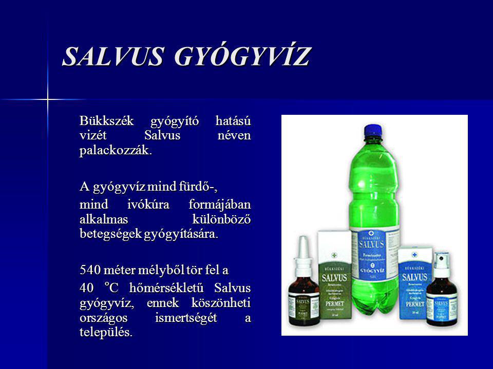 SALVUS GYÓGYVÍZ Bükkszék gyógyító hatású vizét Salvus néven palackozzák. A gyógyvíz mind fürdő-,