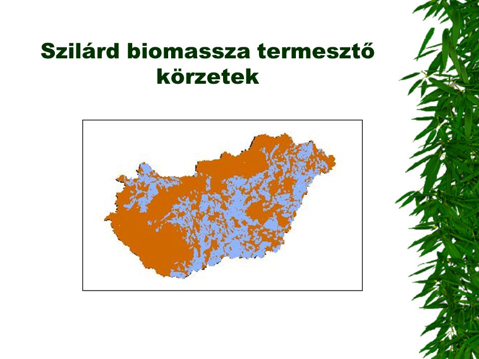 Szilárd biomassza termesztő körzetek