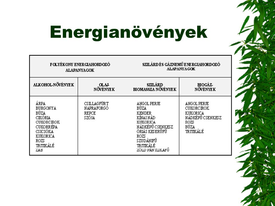 Energianövények