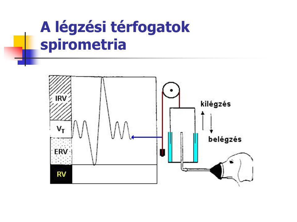 A légzési térfogatok spirometria