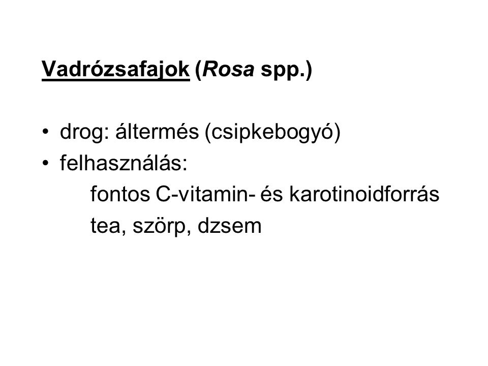 Vadrózsafajok (Rosa spp.)