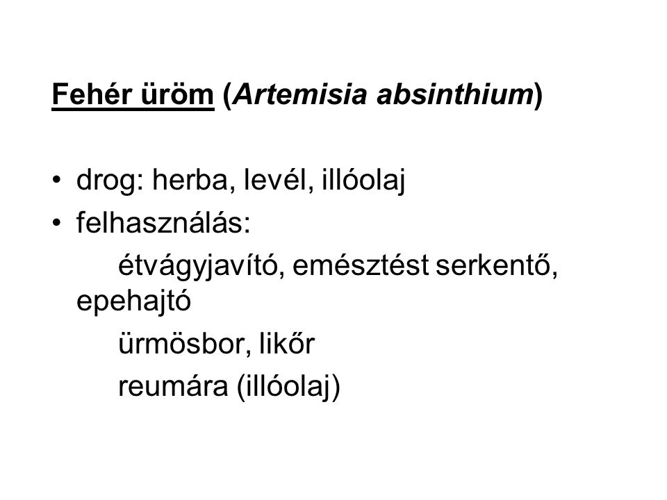 Fehér üröm (Artemisia absinthium)