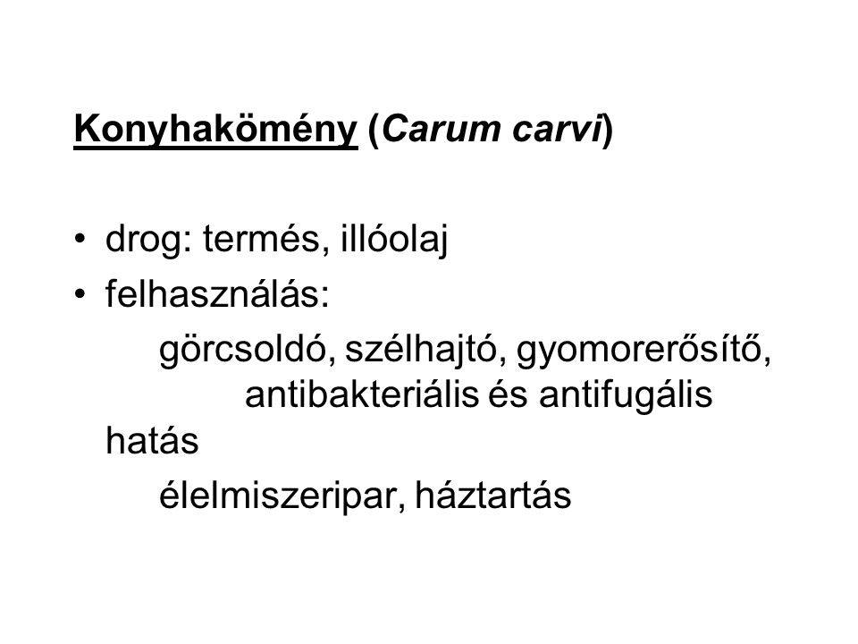 Konyhakömény (Carum carvi)